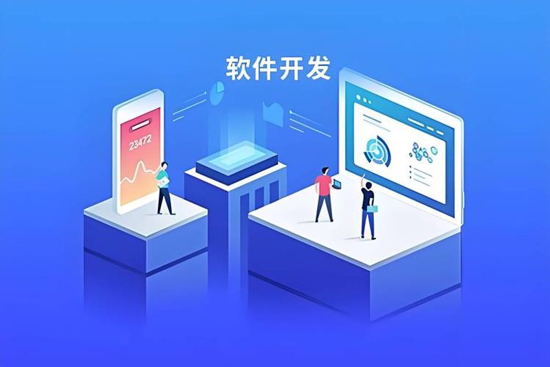 软件定制开发：企业数字化转型的催化剂